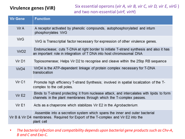 Virulence Genes