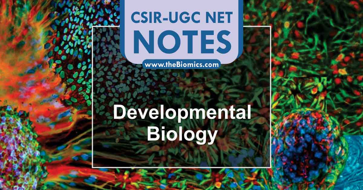 Notes in Developmental Biology
