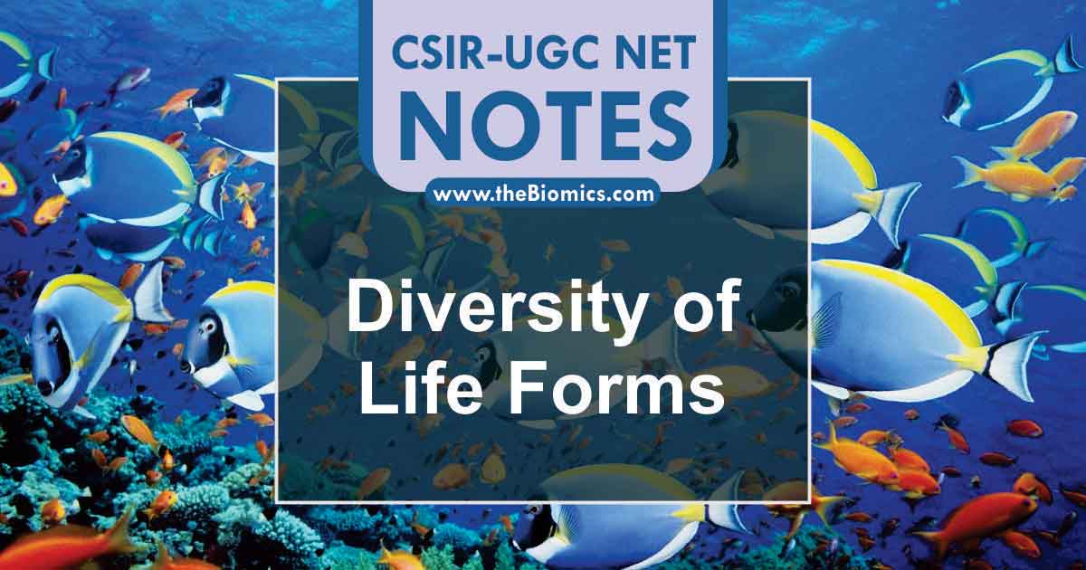 Notes in Diversity of Life Forms