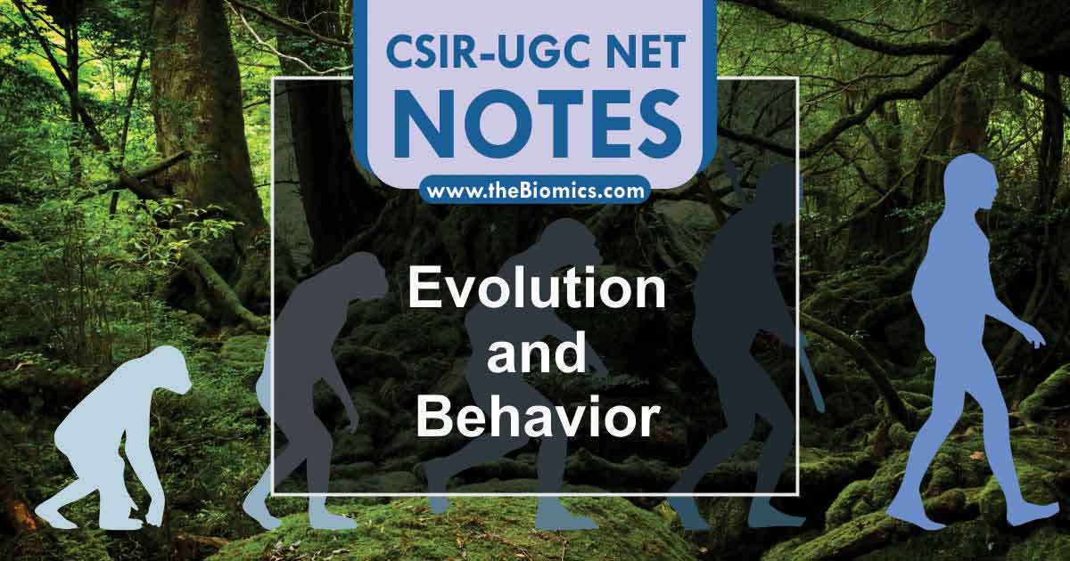Notes in Evolution and Behavior