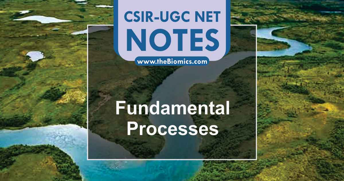 Notes in Fundamental Processes