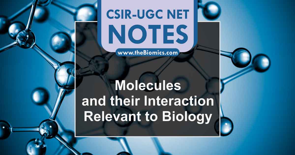 Notes in Molecules and their Interaction