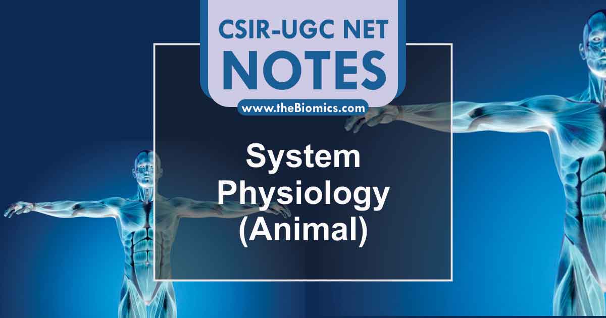 Unit 7- System Physiology – Animal