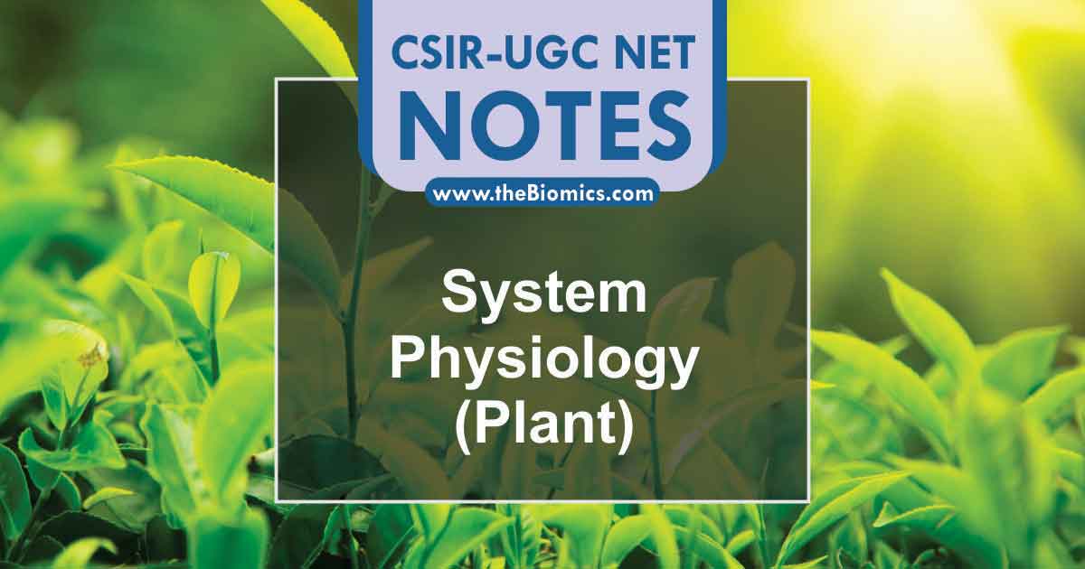 Notes in System Physiology – Plant